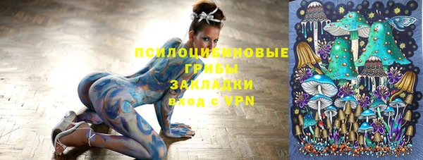 марки nbome Новокубанск