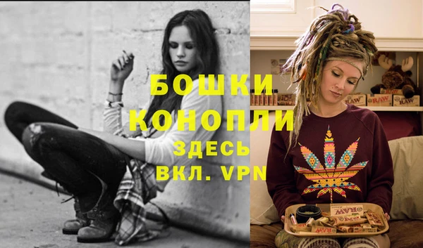 прущие крисы Бикин