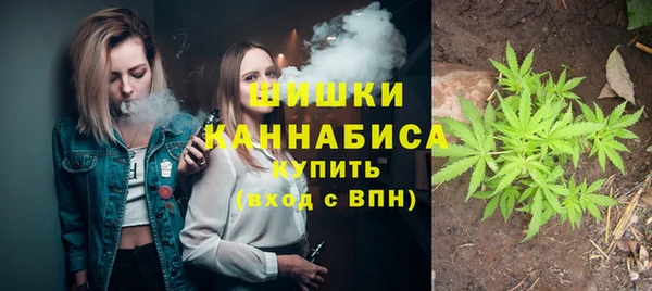 прущие крисы Бикин