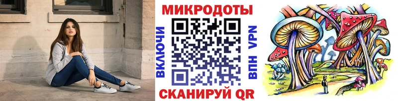 где купить наркоту Котельниково Псилоцибиновые грибы Psilocybe